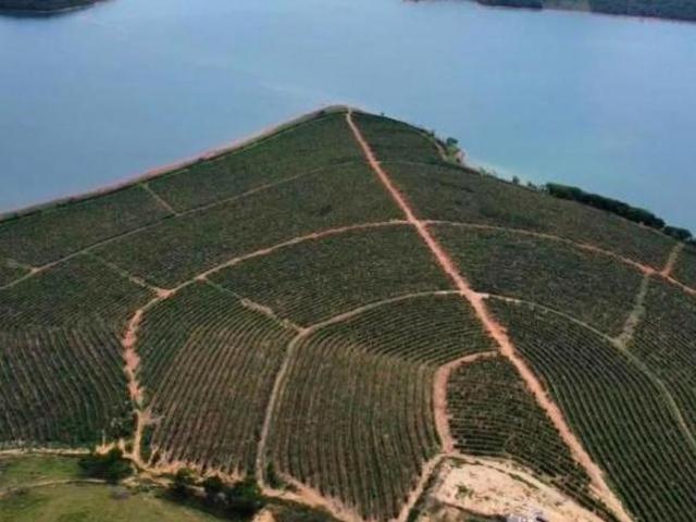 Sítio e chácara venda em Região Geográfica Imediata de Três Pontas - Boa Esperança, Boa Esperança