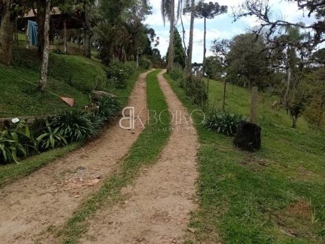 Sítio e chácara venda em São José dos Pinhais, Região Geográfica Intermediária de Curitiba