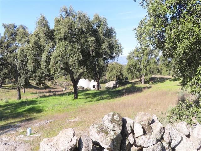 Quinta venda em Castelo Branco, Bairro do Barrocal