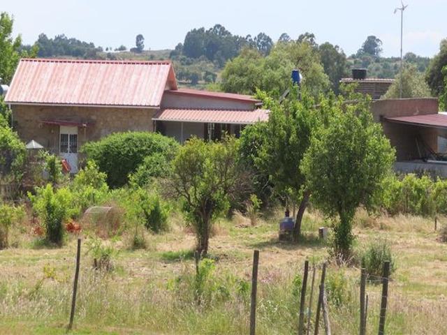 Quinta venda em Castelo Branco