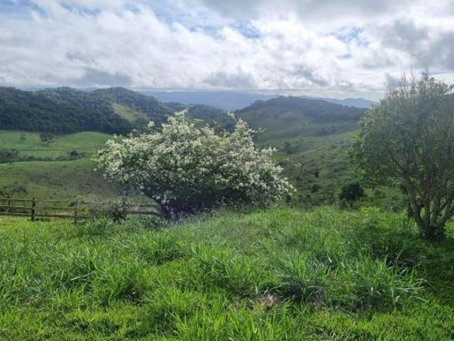 Sítio e chácara venda em Região Geográfica Imediata de Conselheiro Lafaiete, Conselheiro Lafaiete