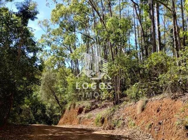 Sítio e chácara venda em Região Geográfica Imediata de Juiz de Fora, Juiz de Fora