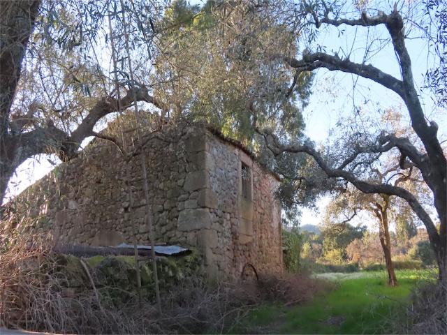 Quinta venda em Bairro do Barrocal, Castelo Branco