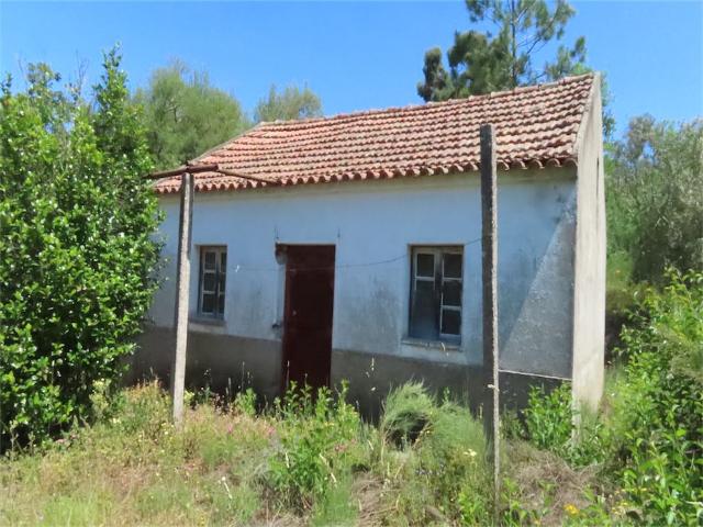 Quinta venda em Castelo Branco