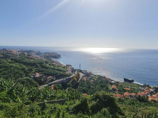 Terreno venda em Funchal, Ilha Da Madeira