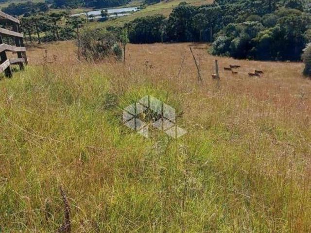 Sítio e chácara venda em Juá, São Francisco de Paula