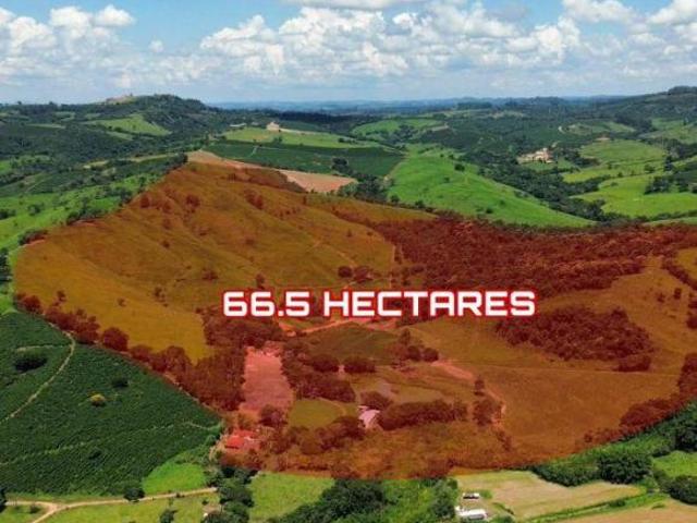 Sítio e chácara venda em Região Geográfica Imediata de São Sebastião do Paraíso, São Sebastião do Paraíso
