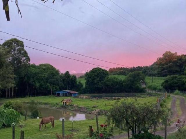 Sítio e chácara venda em Região Geográfica Imediata de Caxias do Sul, Nova Petrópolis