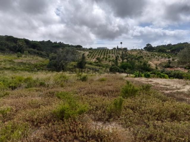 Terreno venda em Sesimbra (Castelo), Sesimbra