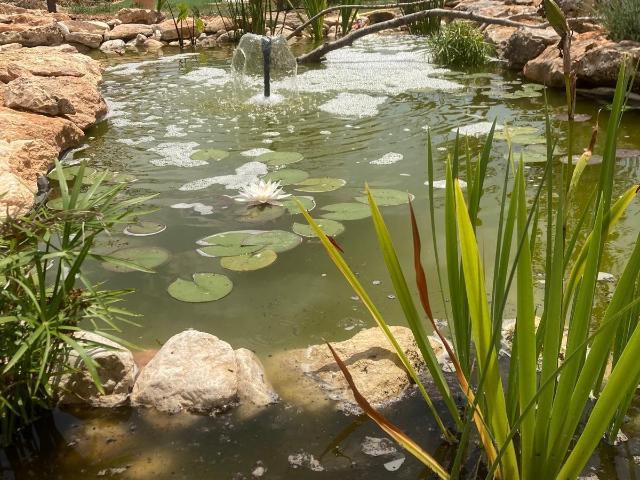 Casa en venta en Baix Ebre, Catalunya