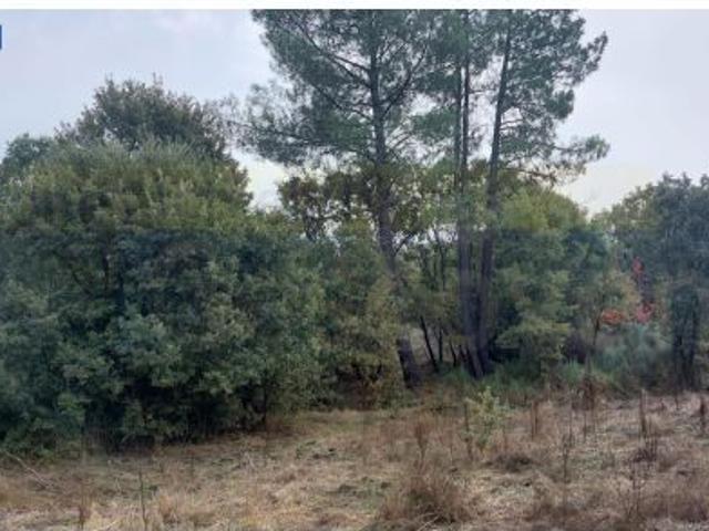 Local Comercial en venta en Valencia De Alcántara, Extremadura