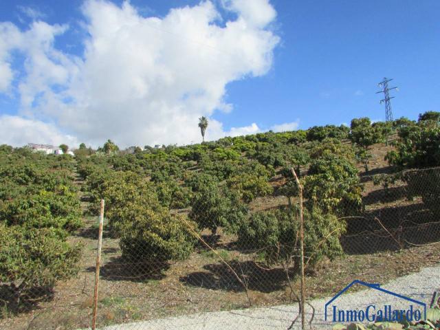 Terreno en venta en Capuchinos, La Axarquía