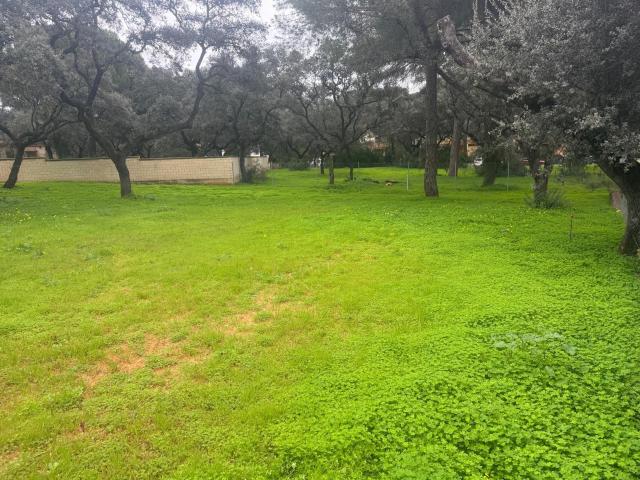 Terreno en venta en Bollullos De La Mitación, Andalucía
