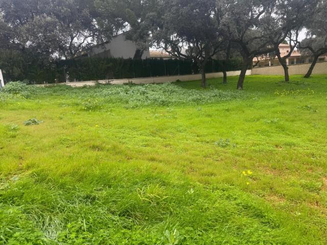 Terreno en venta en Bollullos De La Mitación, Andalucía