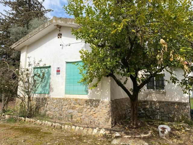 Chalet en venta en Barrio de la Isla, Puente Genil