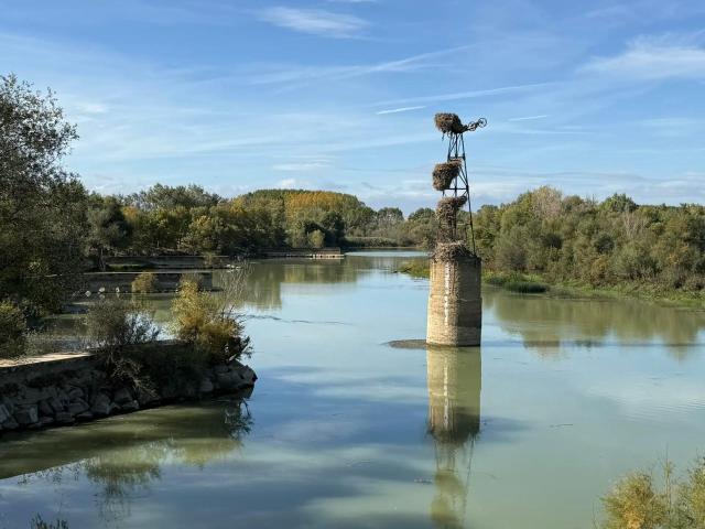 Casa en venta en Ribera Alta del Ebro, Aragón