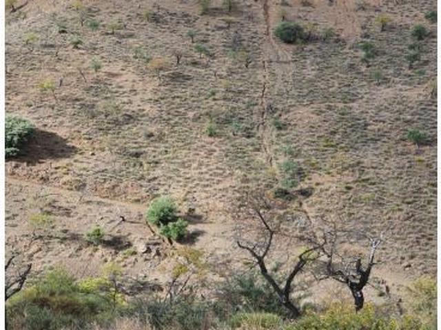 Casa en venta en Sierra de las Nieves, Andalucía