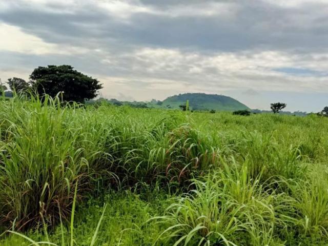Rancho en venta en Acala
