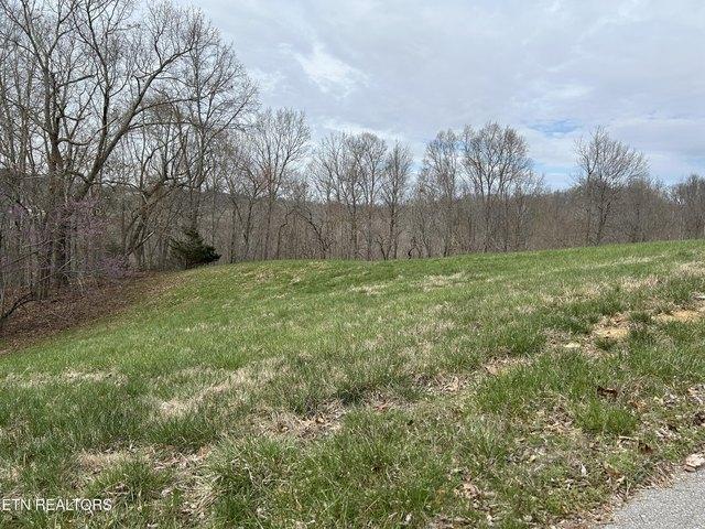 Land for sale in Tennessee