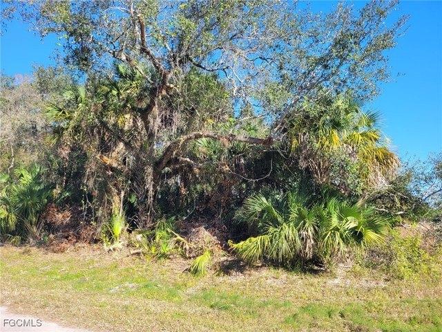 Land for sale in Labelle, Florida