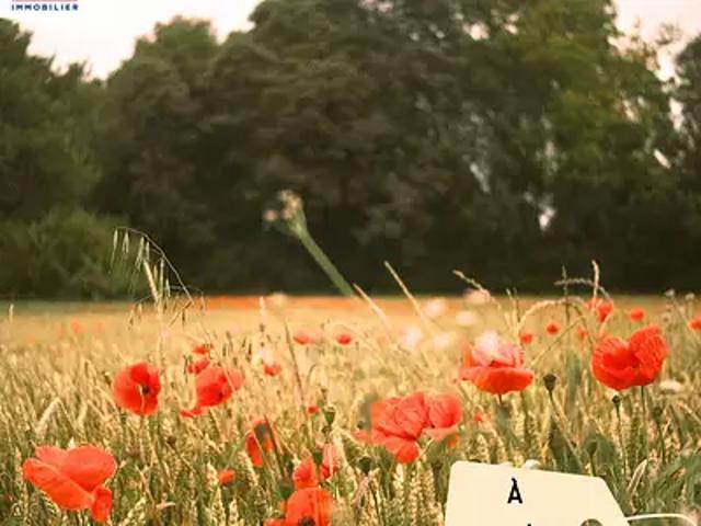 Terrain vente à Arcachon, Marcheprime