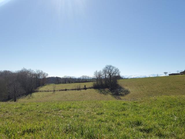 Terrain vente à Mirande, Marciac