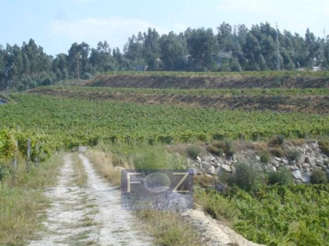Terreno venda em São Lourenço do Douro, Porto