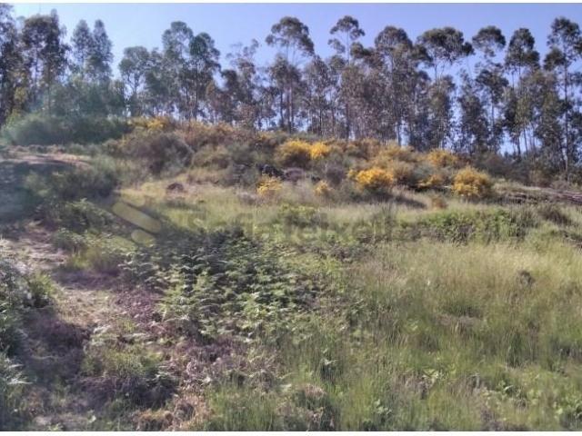 Terreno venda em Várzea, Porto
