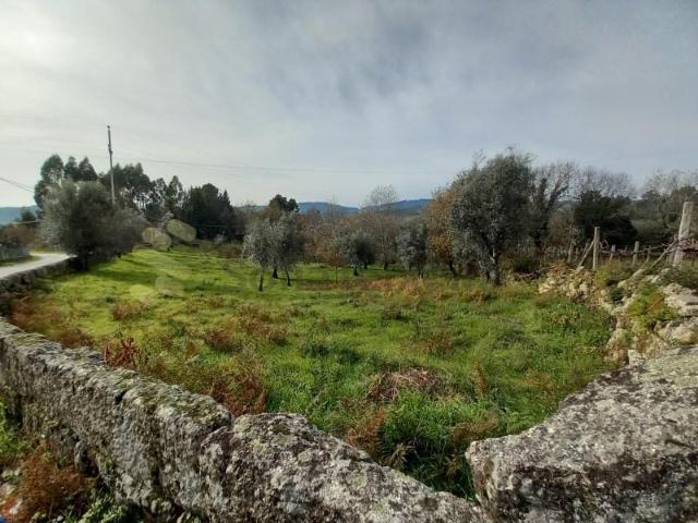 Terreno venda em Maureles, Porto