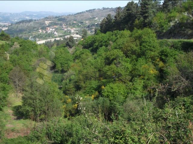 Terreno venda em Soalhães, Porto