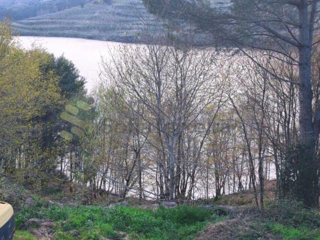 Terreno venda em Favões, São Lourenço Do Douro