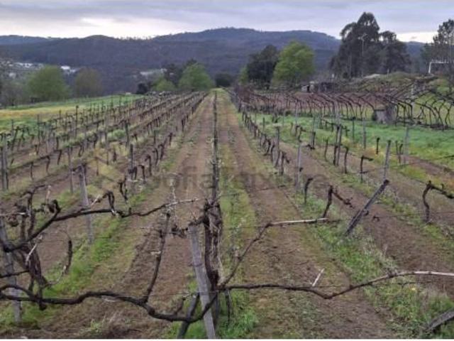 Terreno venda em Avessadas, Porto