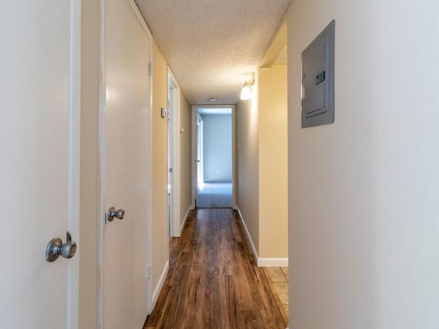 Apartment for rent in Carmichael