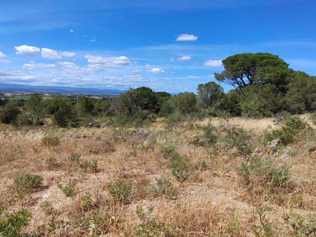 Terrain vente à Narbonne, Marcorignan