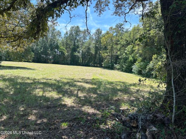 Land for sale in Picayune, Pearl River County