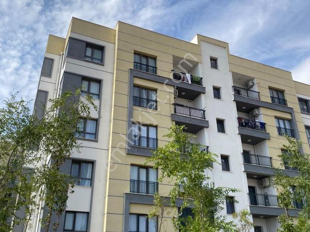 Şentepe Mahallesi, Bismil içerisinde kiralık mülk