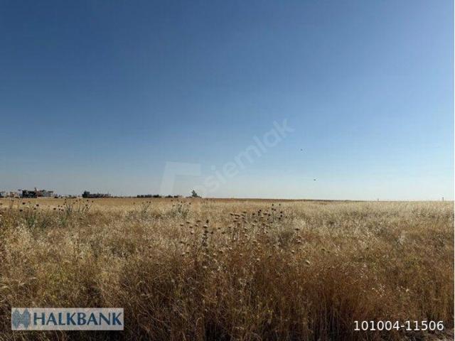 Çınarcık, Kızıltepe içerisinde satılık Arsa