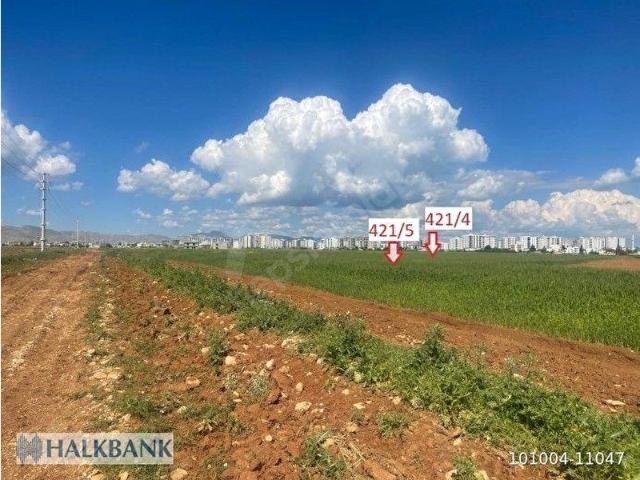 Kiziltepe, Mardin içerisinde satılık Arsa