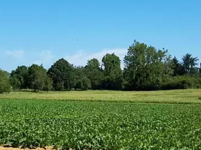 Terrain vente à Mareil-le-Guyon, Yvelines
