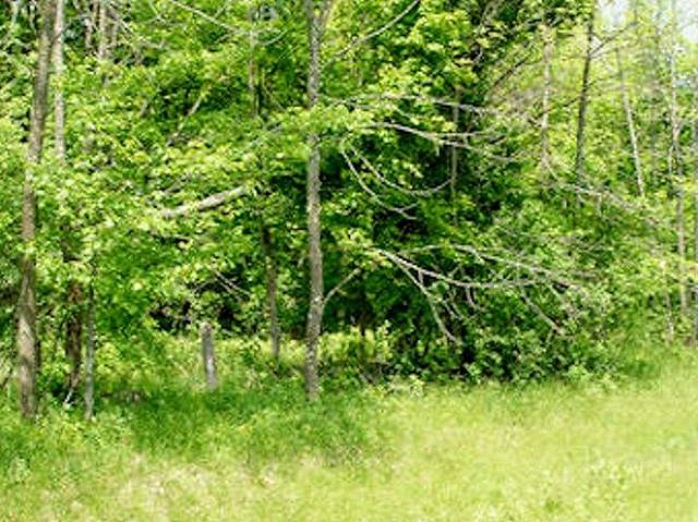 Land for sale in Park Falls, Wisconsin