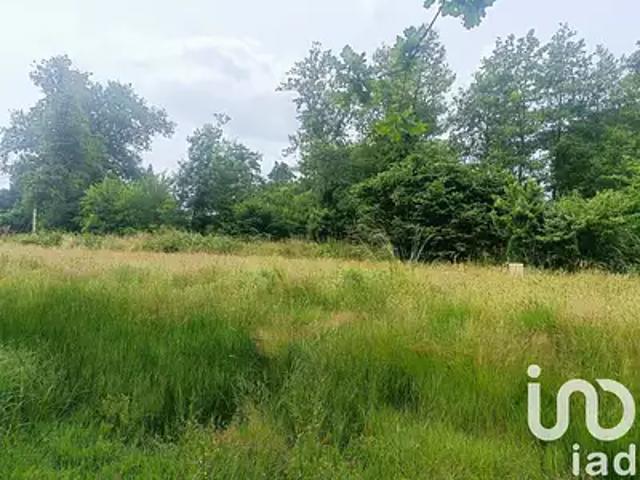 Terrain vente à France métropolitaine, Margaux