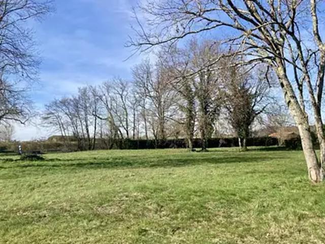 Terrain vente à Lesparre-Médoc, Margaux