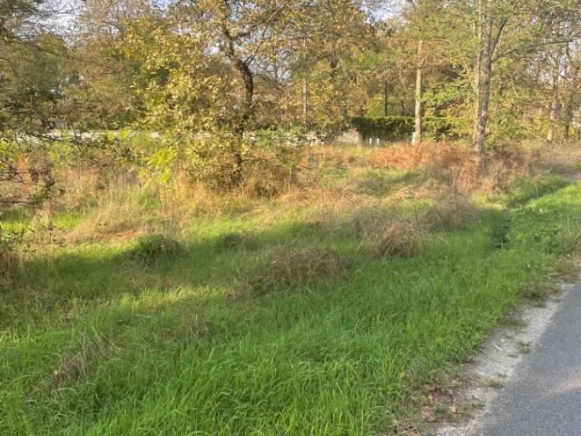 Terrain vente à France métropolitaine, Margaux