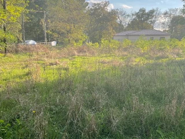 Terrain vente à Lesparre-Médoc, Margaux