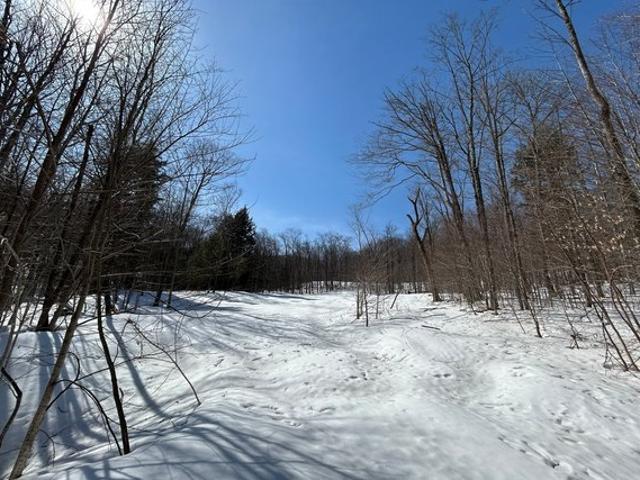Land for sale in Stratton, Vermont