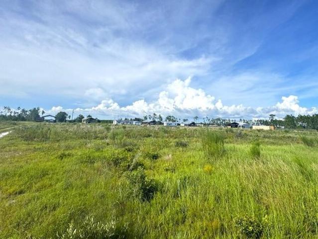 Land for sale in Gulf, Florida