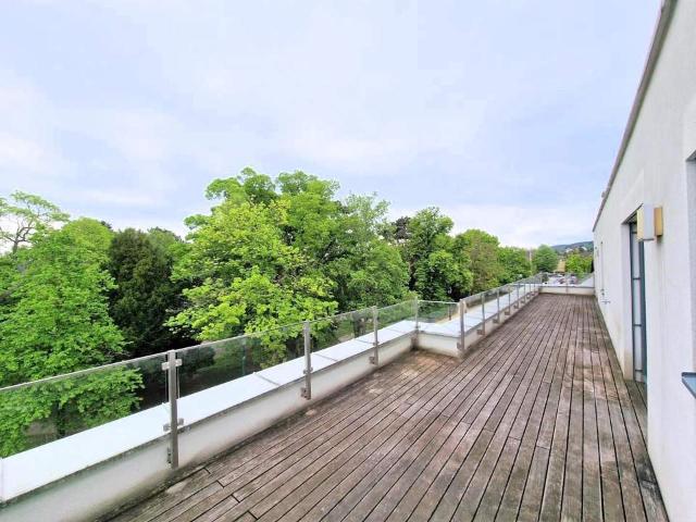 Wohnung mieten in Mödling, Bezirk Mödling