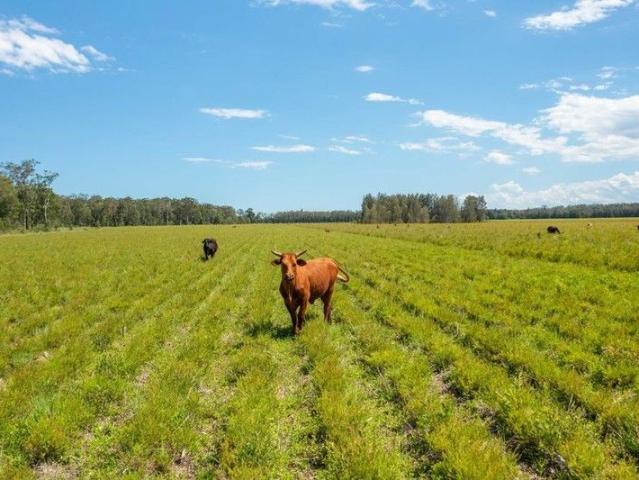 Cottage for sale in New South Wales