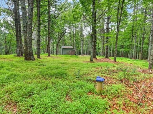 Land for sale in Virginia