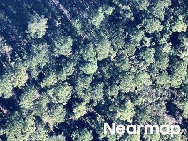 Land for sale in Florida